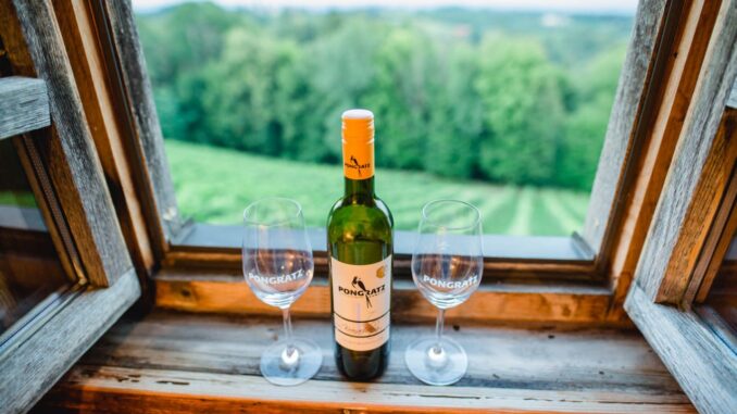 Sauvignon Blanc aus der Südsteiermark