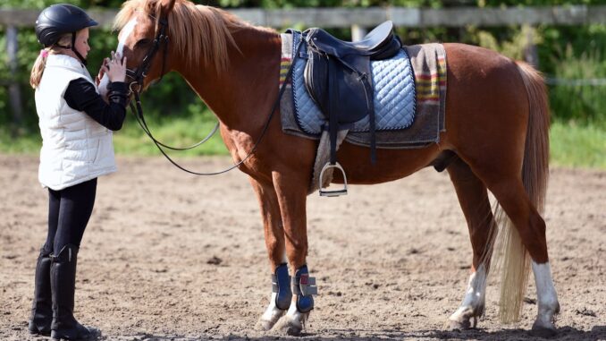 Aufstiegshilfe Pferd