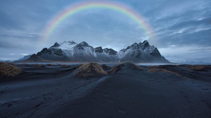 Komm gut über die Regenbogenbrücke Hund