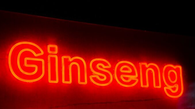 Ginseng Tee - das musst du wissen