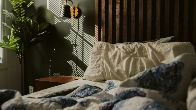 so erkennt und bekämpft man Bettwanzen