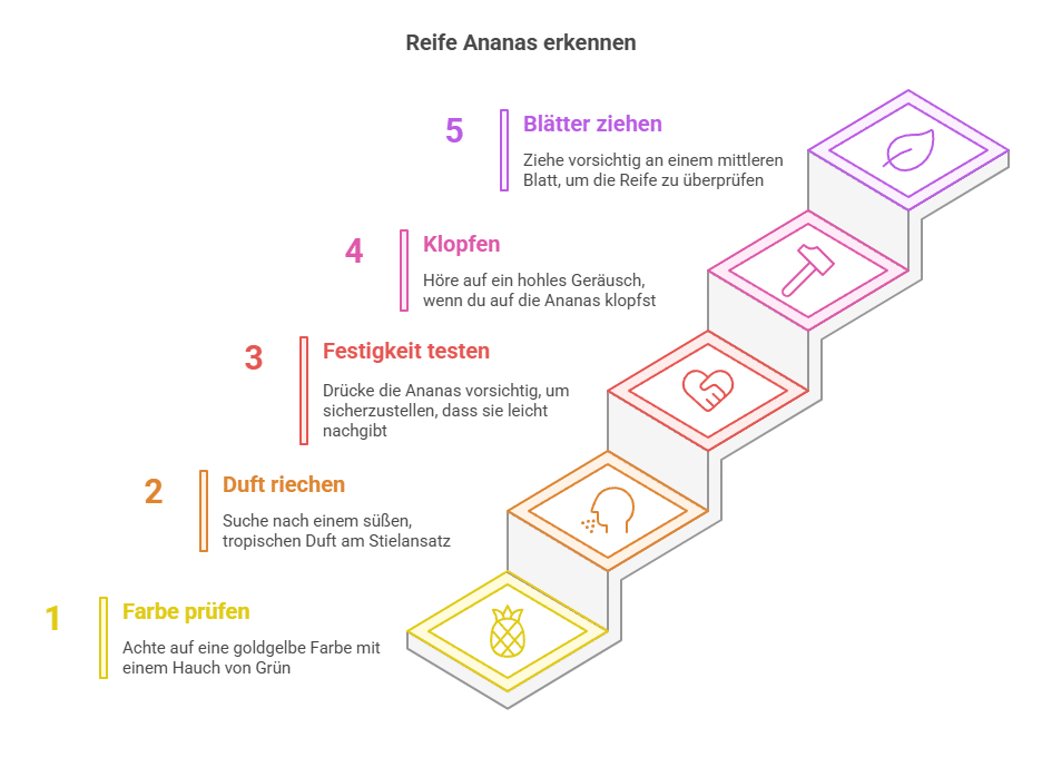 Die wichtigsten Merkmale einer reifen Ananas - Grafik