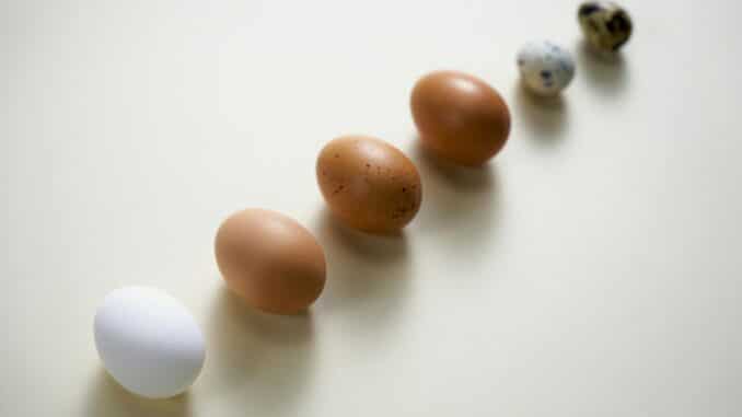 Schlechte Eier erkennen