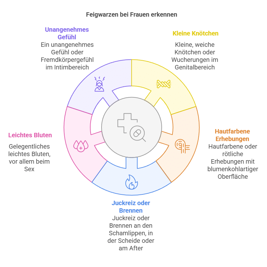 Typische Symptome bei Feigwarzen bei Frauen - Grafik