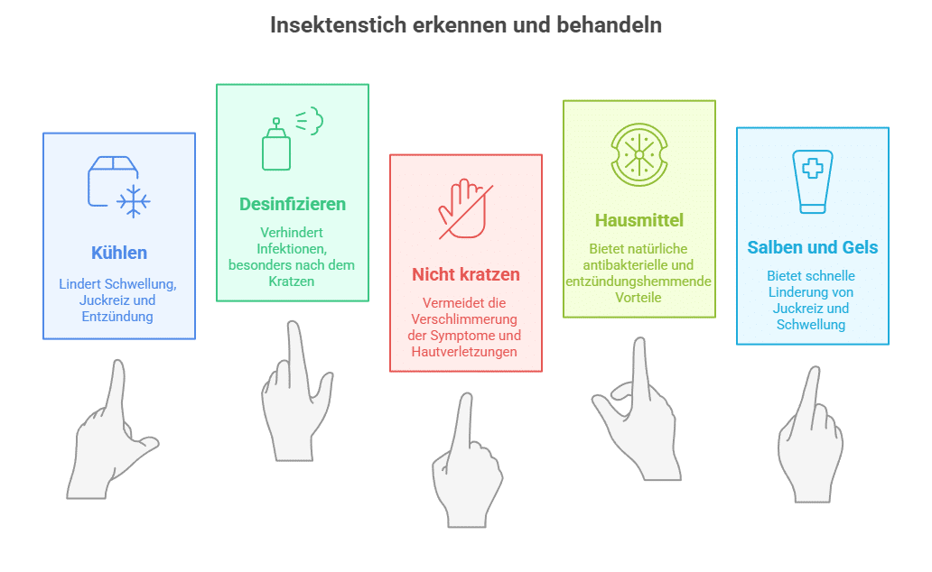 Was tun nach einem Insektenstich_Grafik