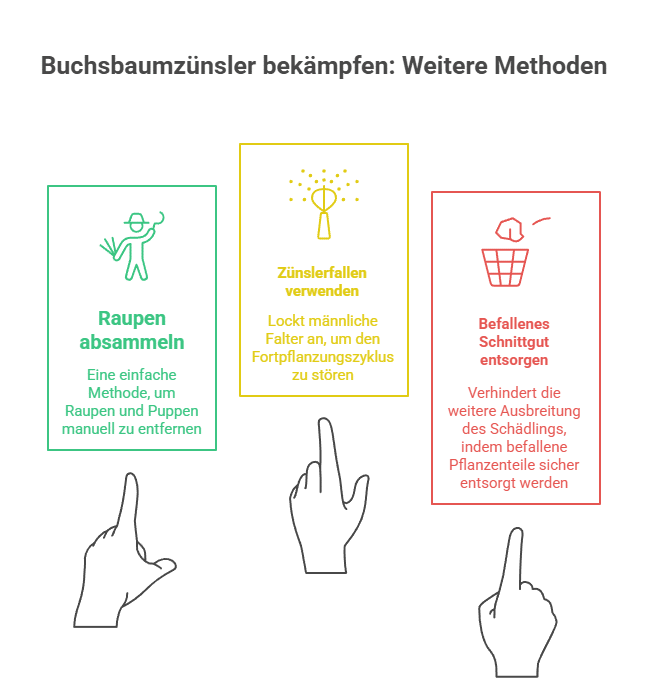 Weitere Methoden zur Bekämpfung des Buchsbaumzünslers - Grafik
