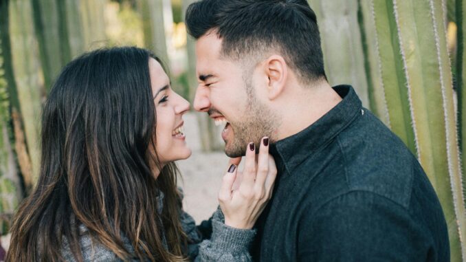 Welches Sternzeichen passt zu Widder